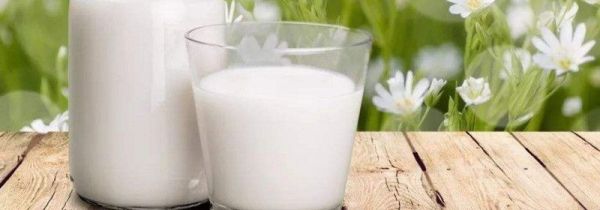 吃水果后多久能喝牛奶