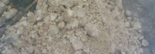 豆渣能不能喂鹅