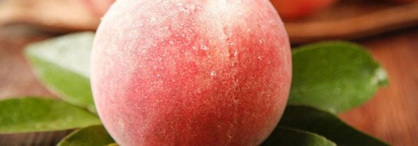 水蜜桃可以放在冰箱里吗