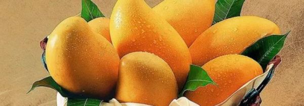 芒果可以放在冰箱里吗