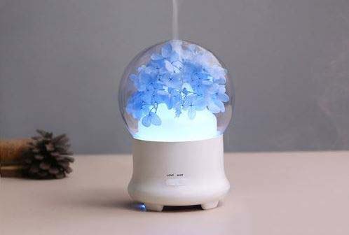 加湿器加了水还显示缺水怎么办？加湿器加了水还显示缺水解决办法