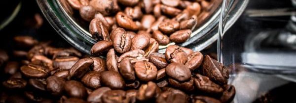 咖啡豆能直接吃吗