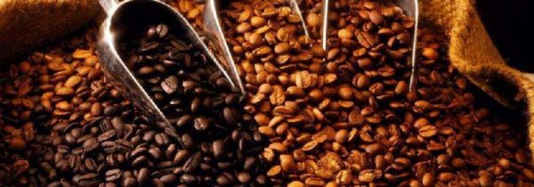 咖啡豆能直接煮着喝吗