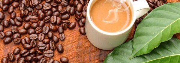 咖啡豆能去甲醛吗