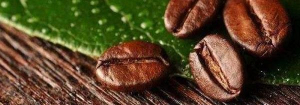 咖啡豆能用料理机磨吗