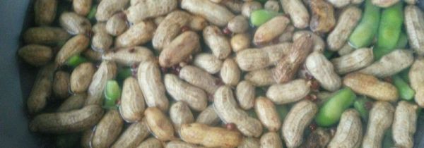 花生煮多久能熟