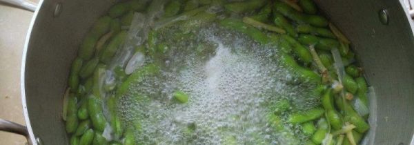 毛豆煮多久能熟