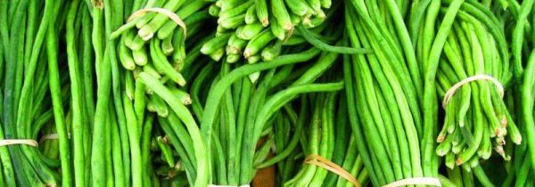 豆角发酸了还能吃吗