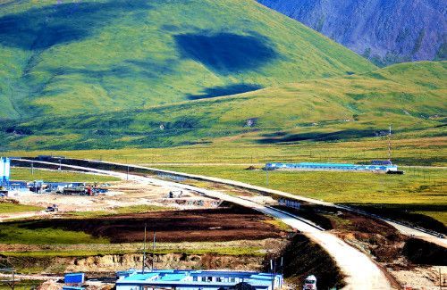 高海拔地区适合种什么