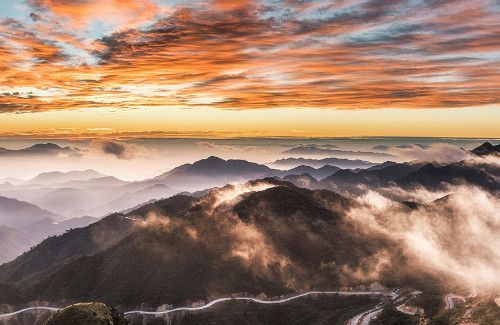 高海拔地区适合种什么