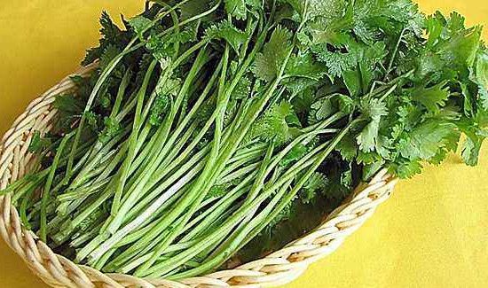 霜降可以种什么农作物