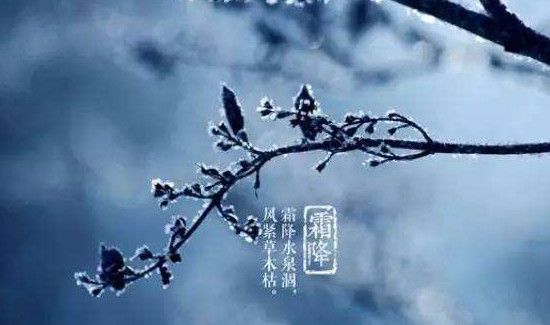 霜降三候是什么