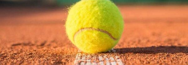 网球适用于初学者的握拍方式