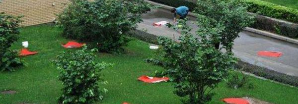 结婚为什么贴红纸