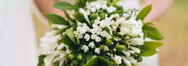 结婚手捧花能丢掉吗?