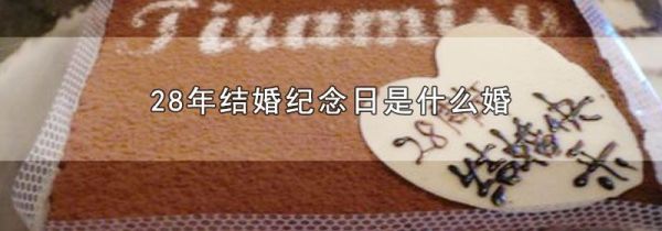 28年结婚纪念日是什么婚
