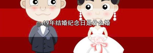 19年结婚纪念日是什么婚