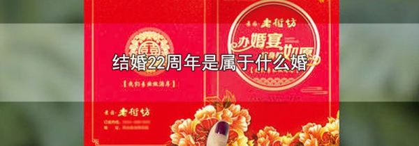 结婚22周年是属于什么婚