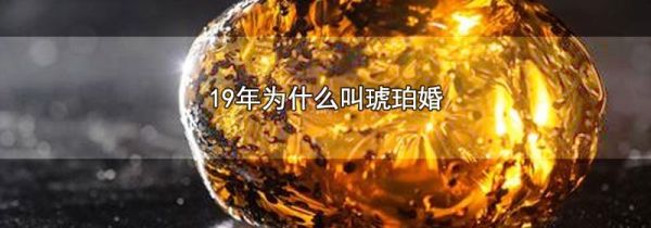 19年为什么叫琥珀婚