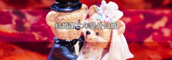 结婚第二年是什么婚