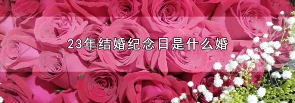 23年结婚纪念日是什么婚