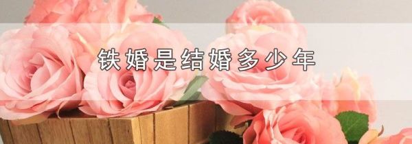 铁婚是结婚多少年