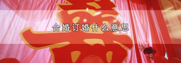 合婚订婚什么意思