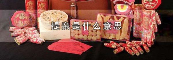 提亲是什么意思