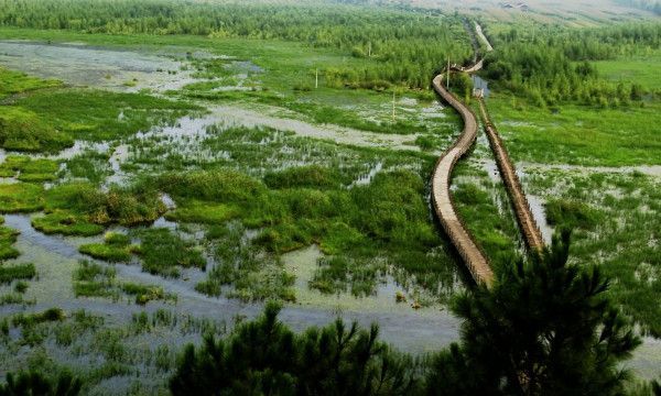 男不娶女不嫁走婚是什么意思