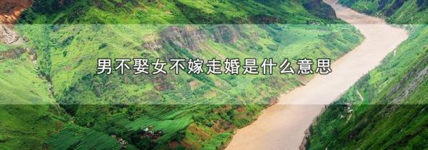 男不娶女不嫁走婚是什么意思