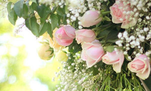 男有三不娶是什么意思