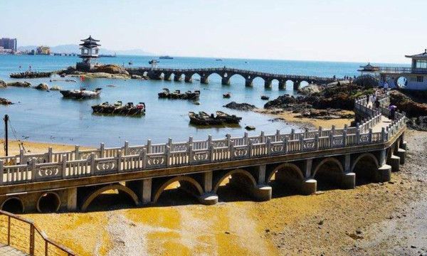 十六年婚姻是什么婚