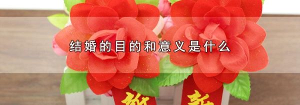 结婚的目的和意义是什么