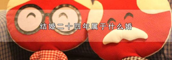 结婚二十四年属于什么婚