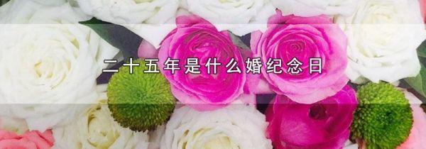 二十五年是什么婚纪念日