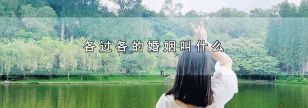 各过各的婚姻叫什么