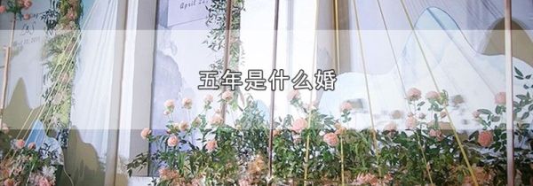 五年是什么婚