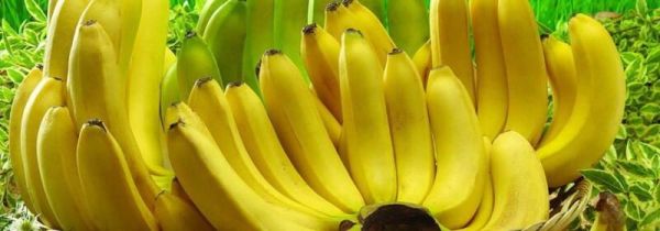 自制香蕉酒不加酒