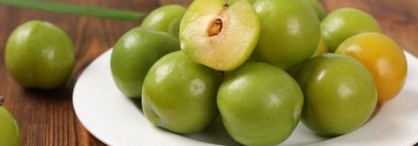 泡酸李子久放不烂的方法