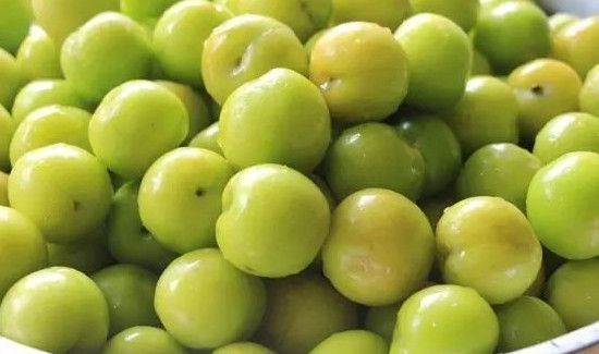 泡酸李子久放不烂的方法