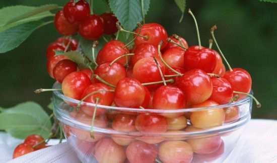 自制樱桃酒的危害