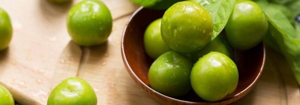 李子蒸馏法酿酒