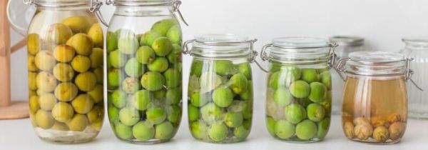 青梅酒泡多久能喝