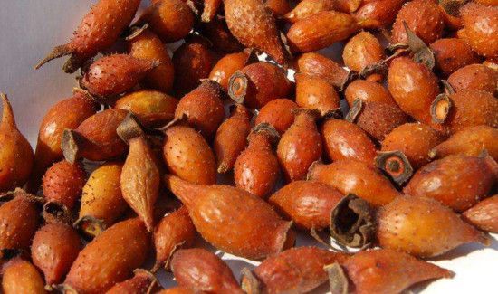 金樱子如何食用