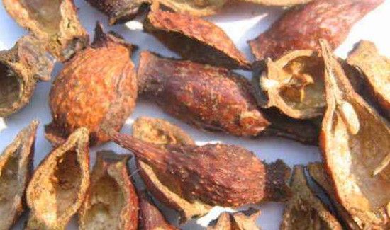 金樱子如何去毛去核