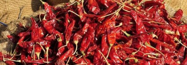 辣椒不能和什么一起吃