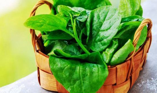 臭豆腐不能和什么一起吃