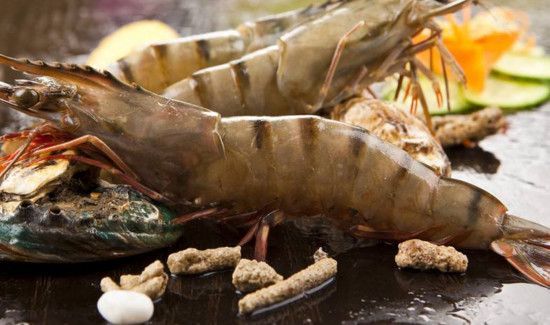 洋葱和哪些食物相克