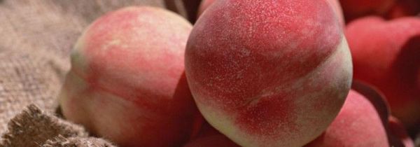 一天吃几个桃子合适