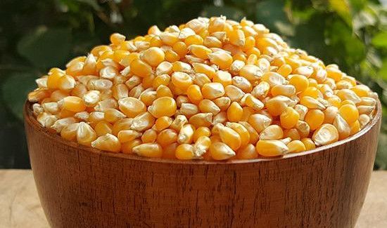 爆米花用什么玉米